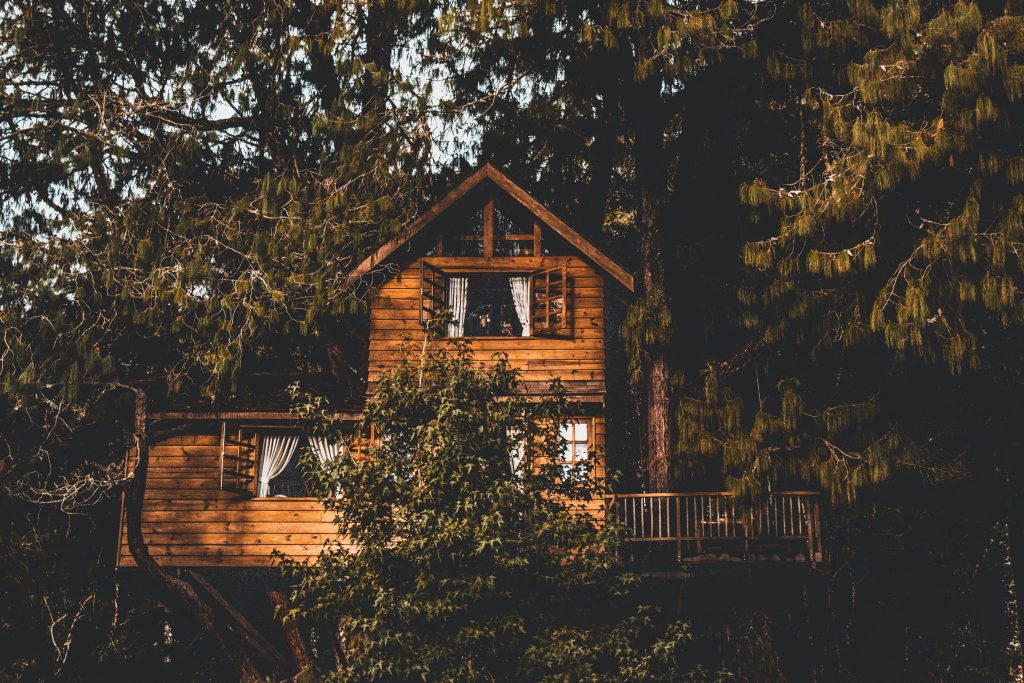 Rustic wooden treehouse nestled among forest trees, an unusual UK family stay perfect for magical getaways with kids.